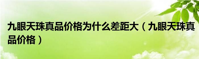 九眼天珠真品价格为什么差距大（九眼天珠真品价格）