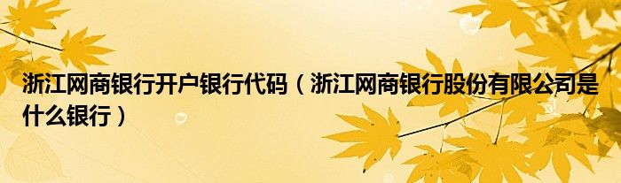 浙江网商银行开户银行代码（浙江网商银行股份有限公司是什么银行）