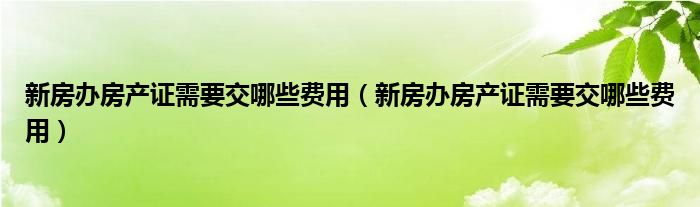 新房办房产证需要交哪些费用（新房办房产证需要交哪些费用）