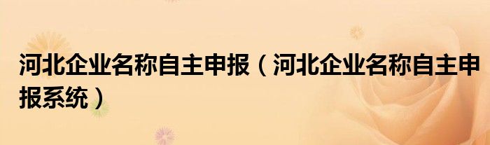 河北企业名称自主申报（河北企业名称自主申报系统）