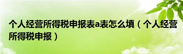 个人经营所得税申报表a表怎么填（个人经营所得税申报）