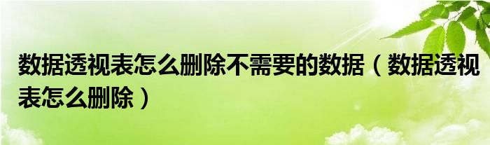 数据透视表怎么删除不需要的数据（数据透视表怎么删除）