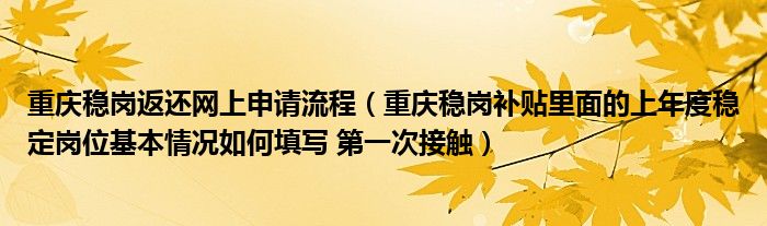 重庆稳岗返还网上申请流程（重庆稳岗补贴里面的上年度稳定岗位基本情况如何填写 第一次接触）