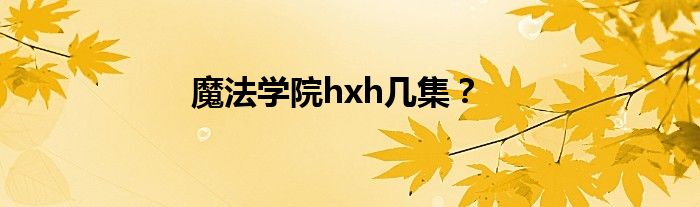 魔法学院hxh几集？