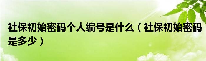 社保初始密码个人编号是什么（社保初始密码是多少）