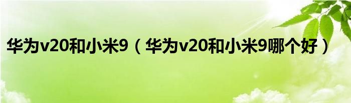 华为v20和小米9（华为v20和小米9哪个好）