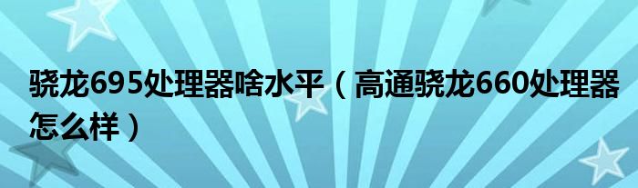 骁龙695处理器啥水平（高通骁龙660处理器怎么样）