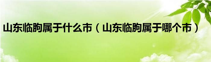 山东临朐属于什么市（山东临朐属于哪个市）