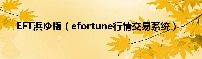 EFT浜ゆ槗（efortune行情交易系统）