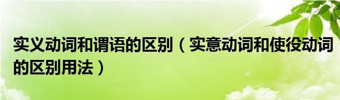 实义动词和谓语的区别（实意动词和使役动词的区别用法）