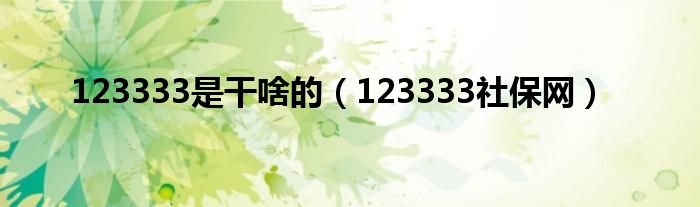 123333是干啥的（123333社保网）