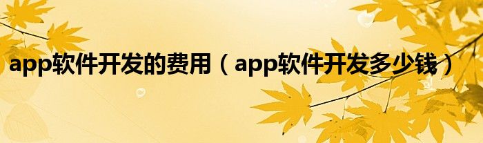 app软件开发的费用（app软件开发多少钱）