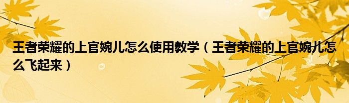 王者荣耀的上官婉儿怎么使用教学（王者荣耀的上官婉儿怎么飞起来）