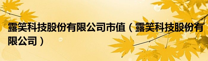 露笑科技股份有限公司市值（露笑科技股份有限公司）