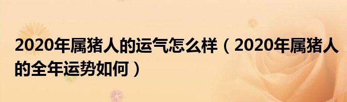 2020年属猪人的运气怎么样（2020年属猪人的全年运势如何）