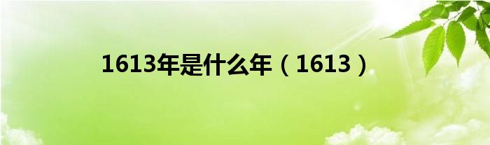 1613年是什么年（1613）