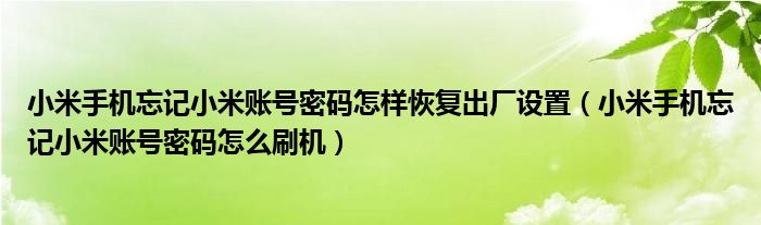 小米手机忘记小米账号密码怎样恢复出厂设置（小米手机忘记小米账号密码怎么刷机）