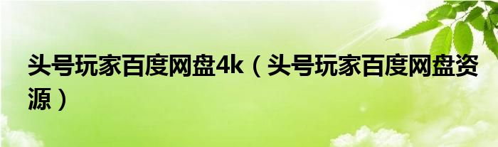 头号玩家百度网盘4k（头号玩家百度网盘资源）