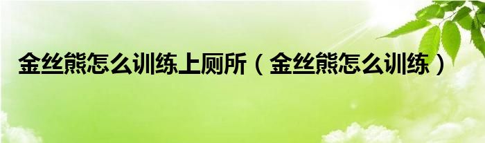 金丝熊怎么训练上厕所（金丝熊怎么训练）