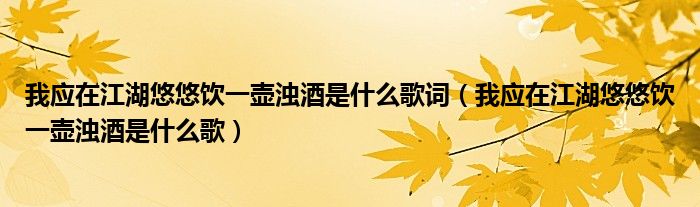 我应在江湖悠悠饮一壶浊酒是什么歌词（我应在江湖悠悠饮一壶浊酒是什么歌）