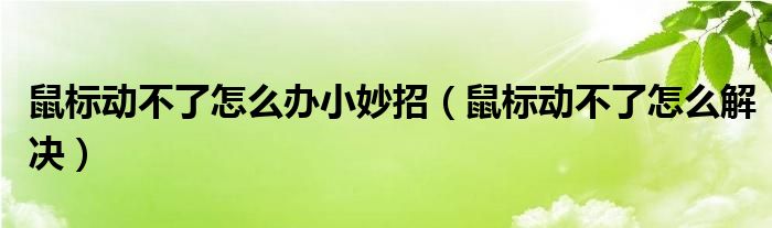 鼠标动不了怎么办小妙招（鼠标动不了怎么解决）