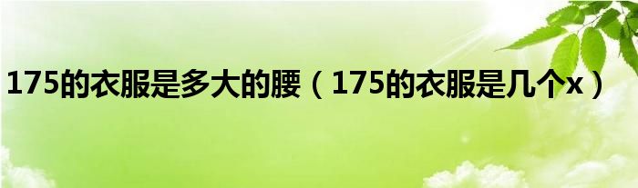 175的衣服是多大的腰（175的衣服是几个x）