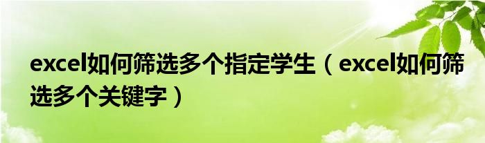 excel如何筛选多个指定学生（excel如何筛选多个关键字）