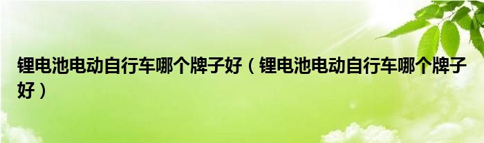 锂电池电动自行车哪个牌子好（锂电池电动自行车哪个牌子好）