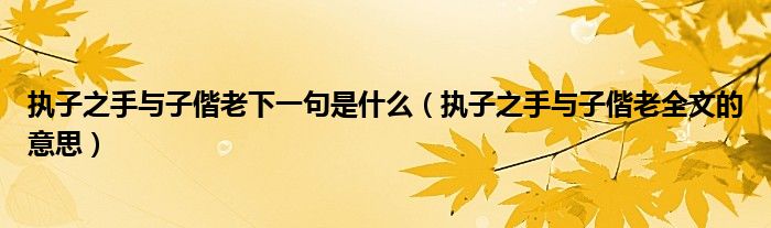 执子之手与子偕老下一句是什么（执子之手与子偕老全文的意思）