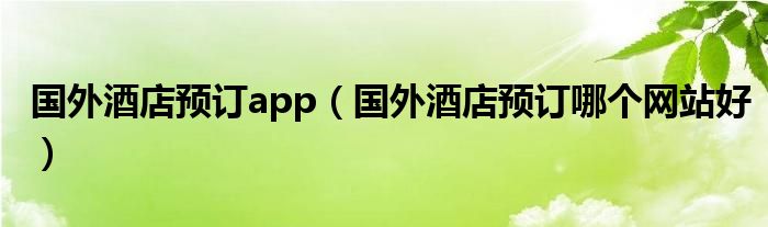 国外酒店预订app（国外酒店预订哪个网站好）