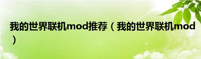 我的世界联机mod推荐（我的世界联机mod）