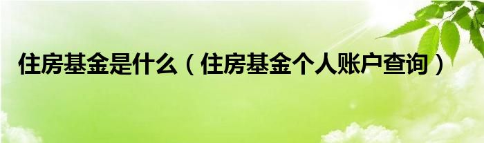 住房基金是什么（住房基金个人账户查询）