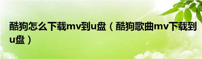 酷狗怎么下载mv到u盘（酷狗歌曲mv下载到u盘）