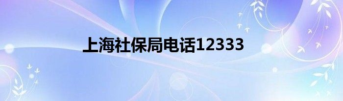 上海社保局电话12333