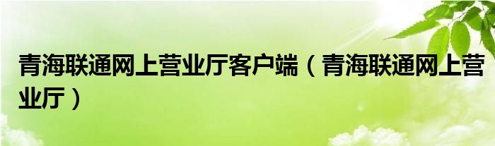 青海联通网上营业厅客户端（青海联通网上营业厅）