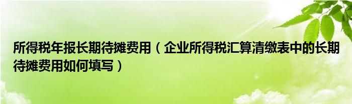 所得税年报长期待摊费用（企业所得税汇算清缴表中的长期待摊费用如何填写）