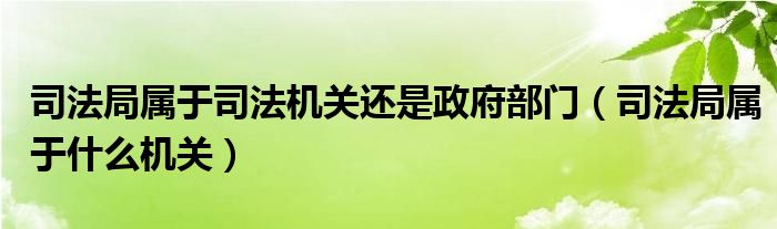 司法局属于司法机关还是政府部门（司法局属于什么机关）