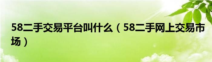 58二手交易平台叫什么（58二手网上交易市场）