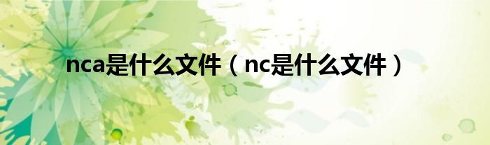 nca是什么文件（nc是什么文件）