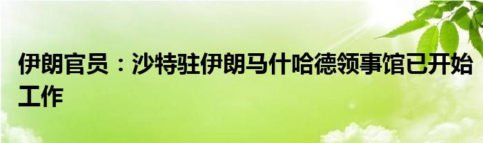 伊朗官员：沙特驻伊朗马什哈德领事馆已开始工作