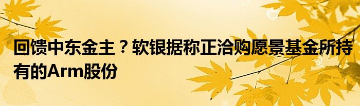 回馈中东金主？软银据称正洽购愿景基金所持有的Arm股份