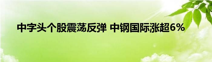 中字头个股震荡反弹 中钢国际涨超6%