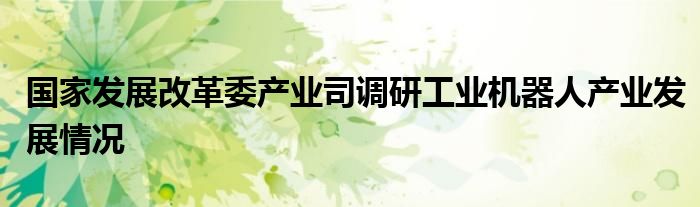 国家发展改革委产业司调研工业机器人产业发展情况