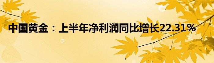 中国黄金：上半年净利润同比增长22.31%