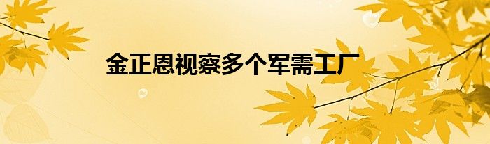 金正恩视察多个军需工厂