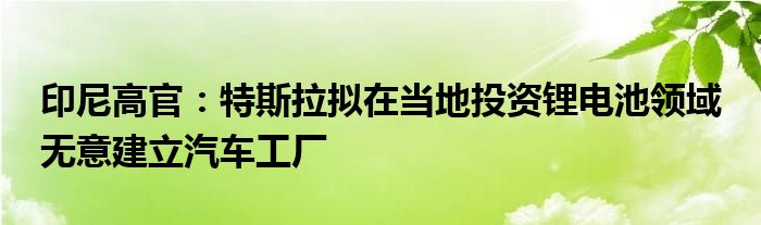 印尼高官：特斯拉拟在当地投资锂电池领域 无意建立汽车工厂