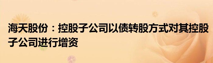 海天股份：控股子公司以债转股方式对其控股子公司进行增资