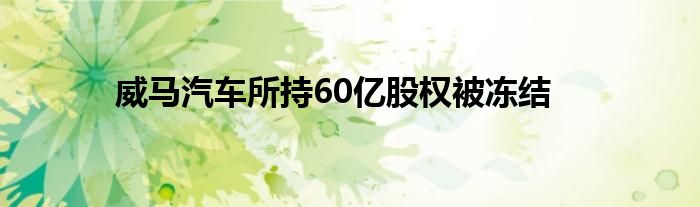 威马汽车所持60亿股权被冻结