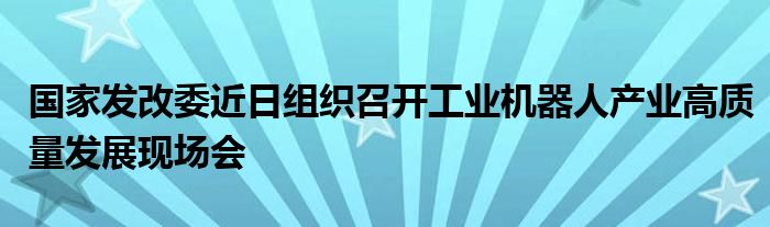 国家发改委近日组织召开工业机器人产业高质量发展现场会