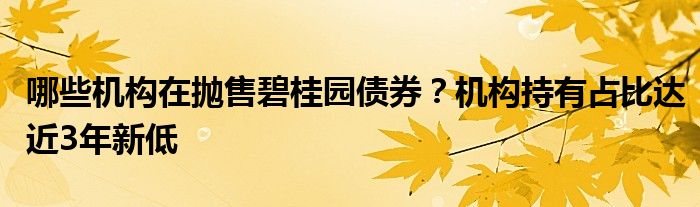 哪些机构在抛售碧桂园债券？机构持有占比达近3年新低